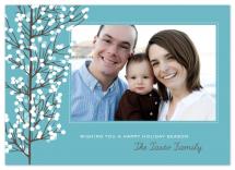 winter branches by n+s