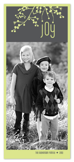 Organic Joy by Sandy Pons