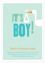 Baby Boy by Tracy White Taylor