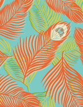 Floating Feathers by Carin R.