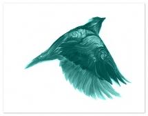 Skyborn - Elemental Ser... by Adam S Doyle