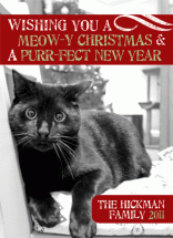 Meow-y Christmas and a... by Papersaurus Creative