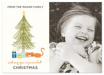 A Purrrfect Christmas