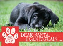 Dear Santa, I can Expla... by Papersaurus Creative