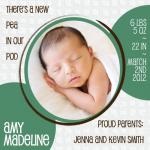 New Pea in our Pod by Dandelion Dream Designs