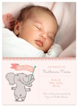 eray_welcome_elephant