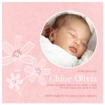 Pink Bloom Adoption by that girl Shelley