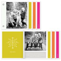 technicolor snowflake