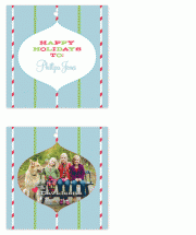 Picture Ornament by Christina N Kinoshita