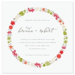 sea shells by the sea shore