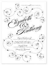 English Rose by Rachel Mense