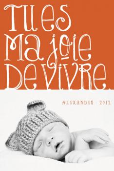 You are the joy of my life