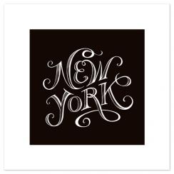 type study: new york