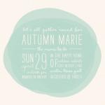 A Dabble of Paint by feb10 design