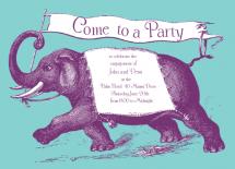 Elephant announcement by Karen Robert