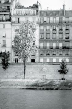 Morning Walk on the Seine