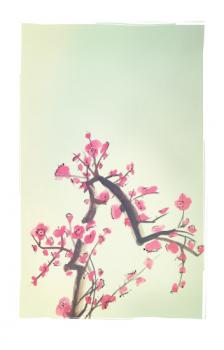 Peach Blossoms