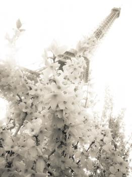springtime in paris