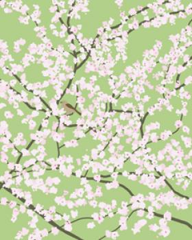 Plum tree with Birds in Spring