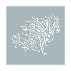 the sea series - 102