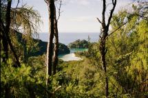 View from Abel Tasman by Panda and Pangolin