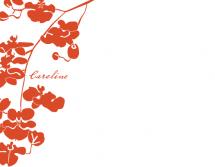 Orchids by Erin Pfister