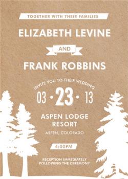 Winter Lodge Wedding