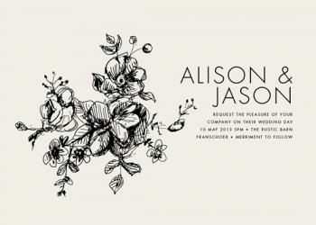 Elegance Illustrated