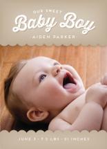 Canopy Baby by Lynn and Lou Paper Co